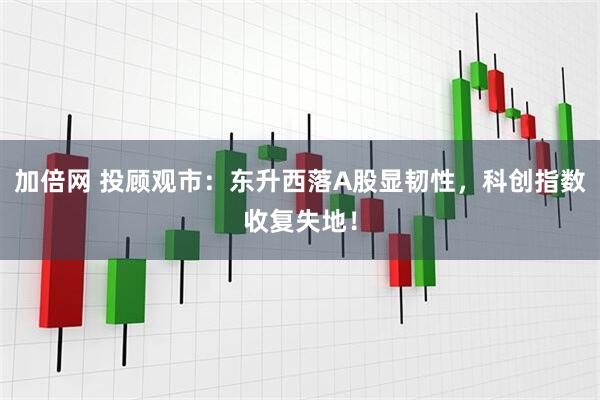 加倍网 投顾观市：东升西落A股显韧性，科创指数收复失地！