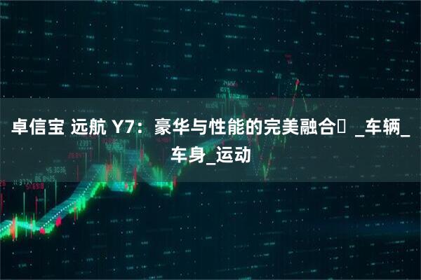 卓信宝 远航 Y7：豪华与性能的完美融合​_车辆_车身_运动