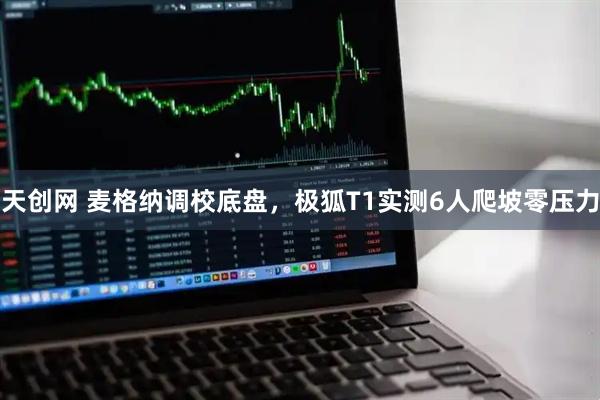 天创网 麦格纳调校底盘，极狐T1实测6人爬坡零压力